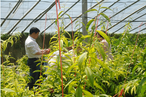 QQ圖片20150521114705.png QQ圖片20150521114705.png